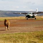 Masai Mara Flaying Safaris