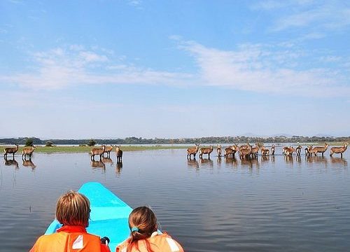 LAKE NAIVASHA DAY TRIP