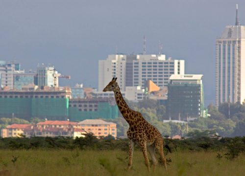 Nairobi Day Tour