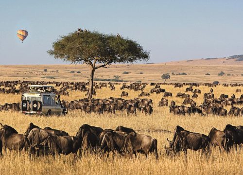 MASAI MARA |3 DAYS| GROUP SAFARI